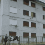 Screenshot 2019-01-07 at 11.56.04