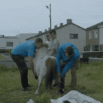 Screenshot 2019-01-07 at 12.10.54